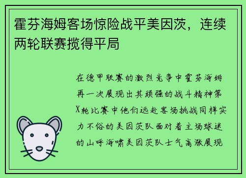 霍芬海姆客场惊险战平美因茨，连续两轮联赛揽得平局